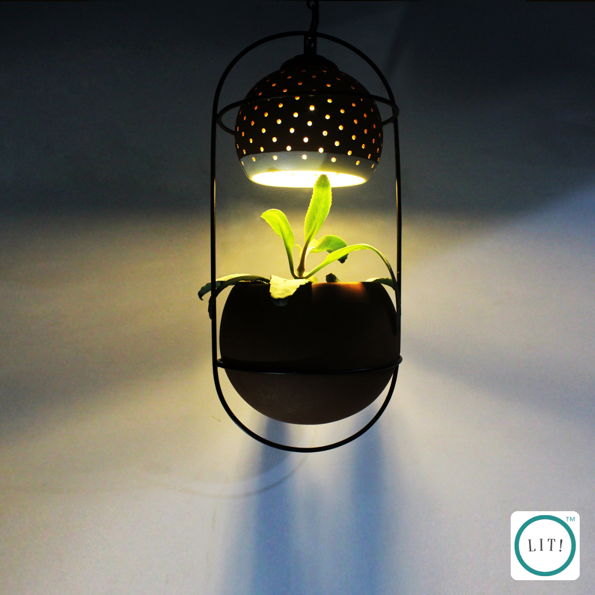 Handcrafted planter lamp made of terracotta