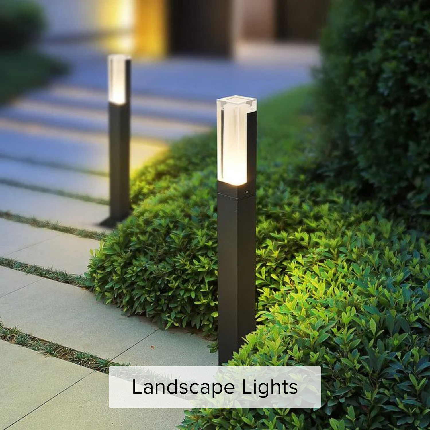 Landscape Lights