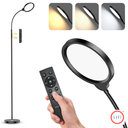 3CCT LED Floor Lamp with Remote Control