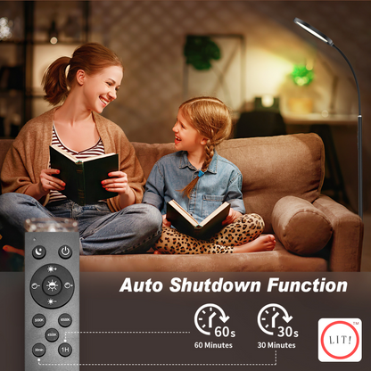 3CCT LED Floor Lamp with Remote Control