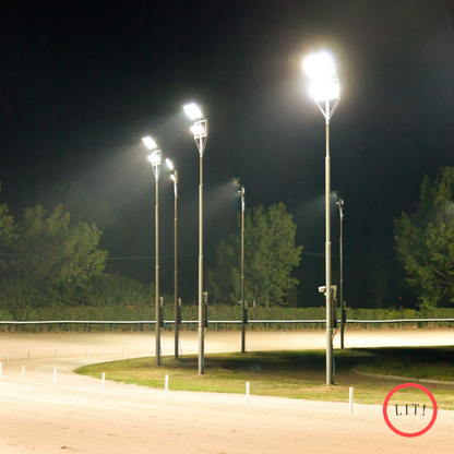 Hybrid LED Flood Light