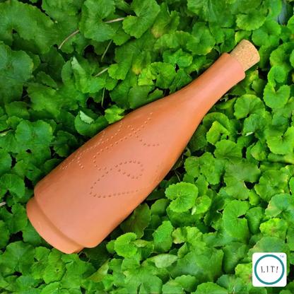 Cheer Terracotta Water Bottle